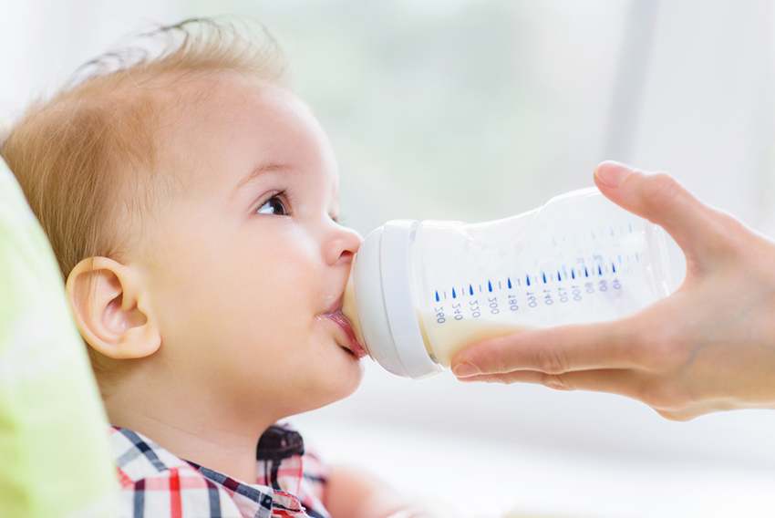 Milk or Alternatives for Toddlers | Happy Family Organics
